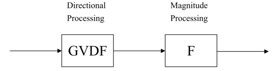 Fig. 3.5. Multi-channel image processing using a cascade of directional  processing and magnitude processing