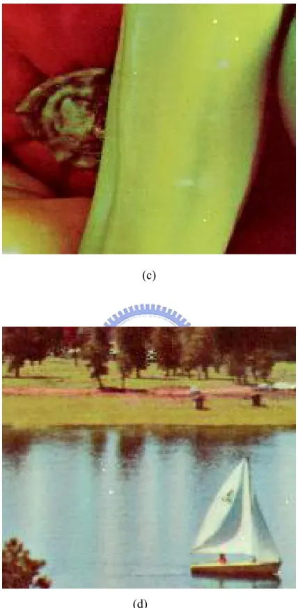 Fig. 4.1. (a) Zoomed “Airplane＂ filtered by the decision-based VMF with 