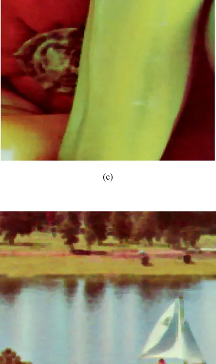 Fig. 4.3. (a) Zoomed “Airplane＂ filtered by the generalized vector directional  filter