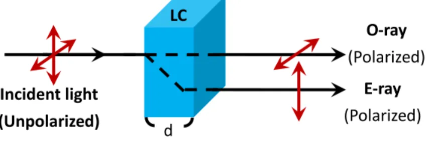 Figure 1-5 A diagram showing ordinary and extraordinary rays in a LC medium. 