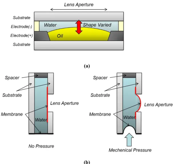 Figure 1-1 (a)The liquid lens employs the oil-water surface and electrically control the  surface shape