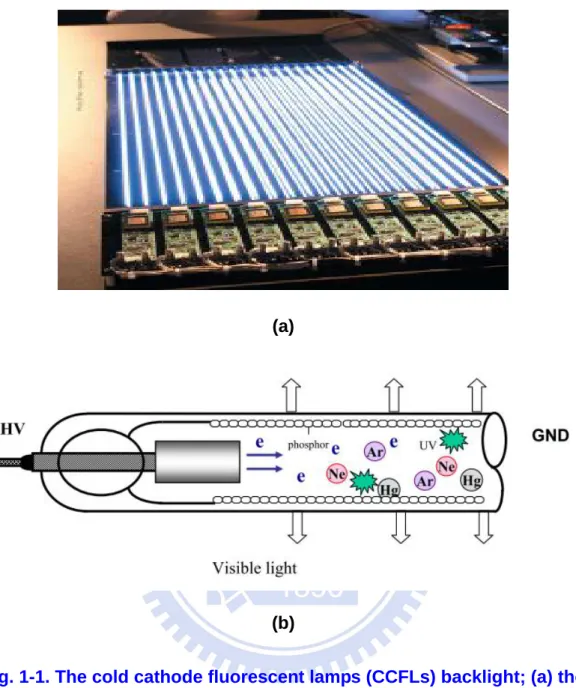 Fig. 1-1. The cold cathode fluorescent lamps (CCFLs) backlight; (a) the 