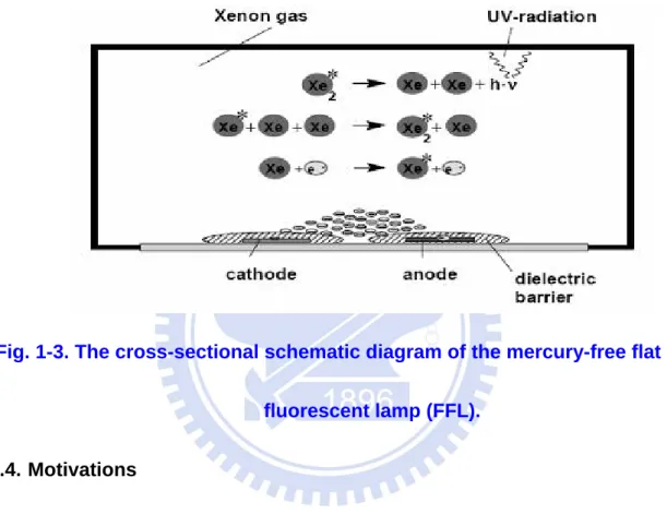 Fig. 1-3. The cross-sectional schematic diagram of the mercury-free flat 