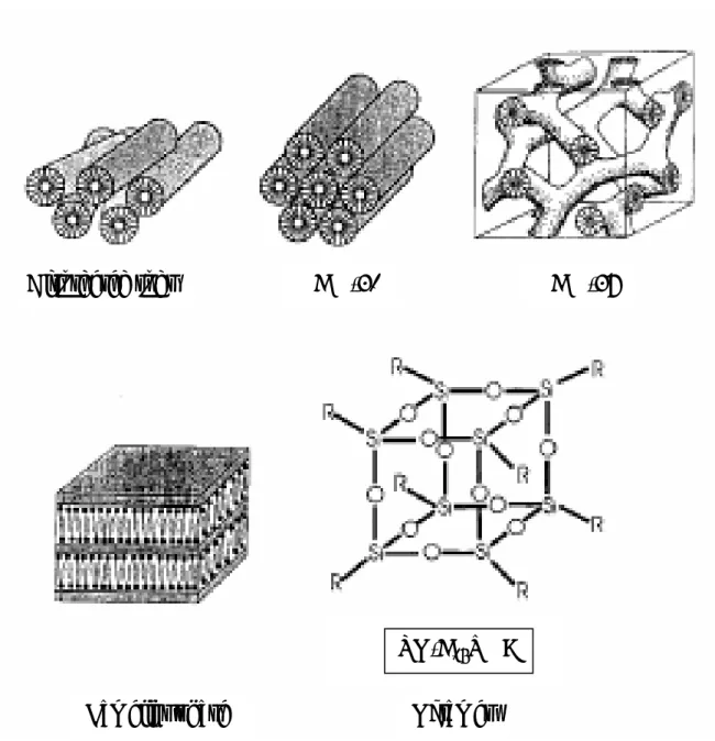 圖 2-1  由C B 16 B TMA/SiO B 2 B /H B 2 B O作為原料製成M41S的結構(Davis and Burkett,  1995) 