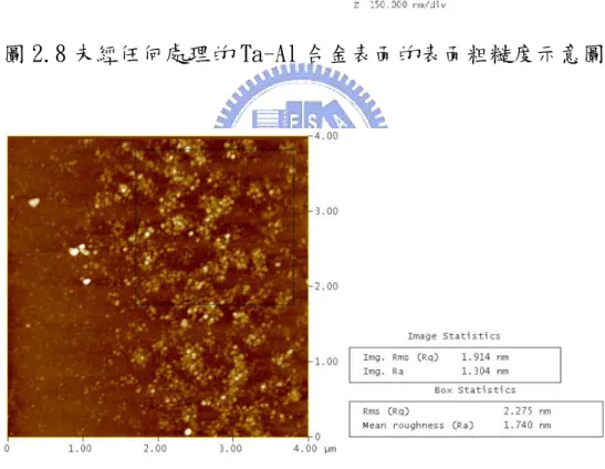 圖 2.9 未經任何處理的 Ta-Al 合金表面的表面粗糙度量測示意圖 