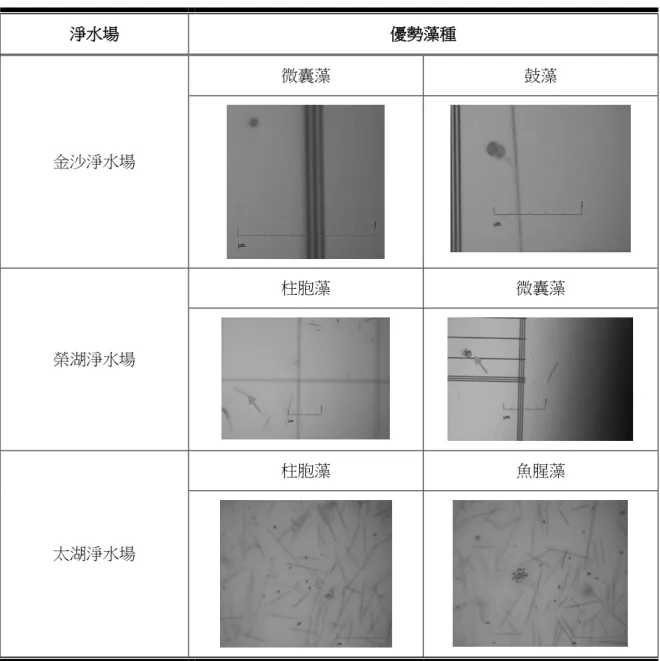 表 2-2    金門自來水廠 2011 年 8 月份淨水場原水中之優勢藻種 ( 本團隊調查) 淨水場  優勢藻種  金沙淨水場  微囊藻  鼓藻  榮湖淨水場  柱胞藻  微囊藻  太湖淨水場  柱胞藻  魚腥藻 