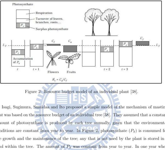 Figure 2: Resource budget model of an individual plant [38].
