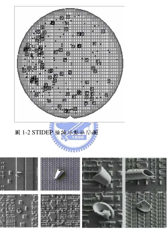 圖 1-3  淺溝槽隔離掀起缺陷之 SEM 圖示 