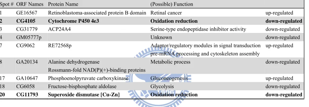 Table 3. Protein changes in neuron-specific TPST knockdown Drosophila melanogaster. 