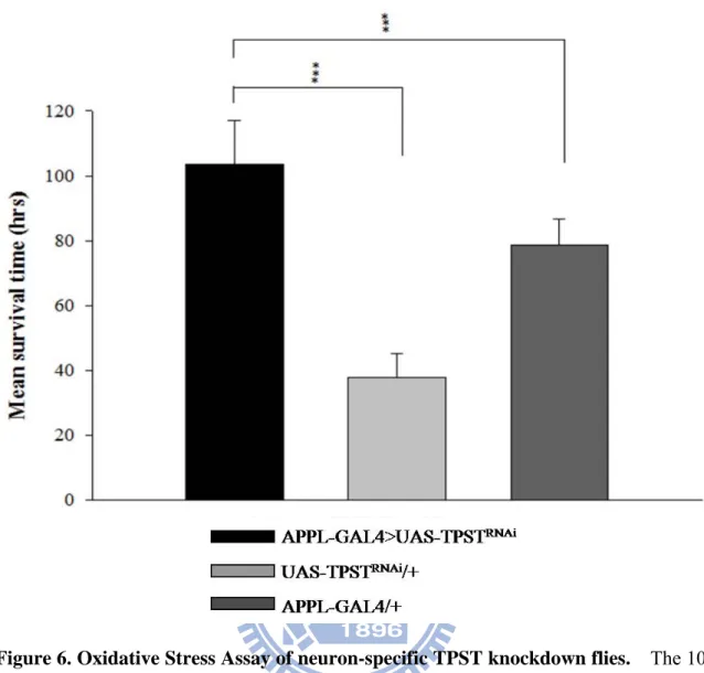 Figure 6. Oxidative Stress Assay of neuron-specific TPST knockdown flies.    The 10 mM  paraquat was treated to neuron-specific TPST knockdowned flies (black), UAS-TPST RNAi  alone (light gray), and APPL-GAL4 alone (dark gray)