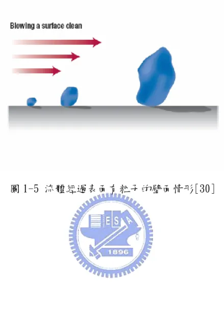 圖 1-5 流體經過表面有粒子的壁面情形[30] 