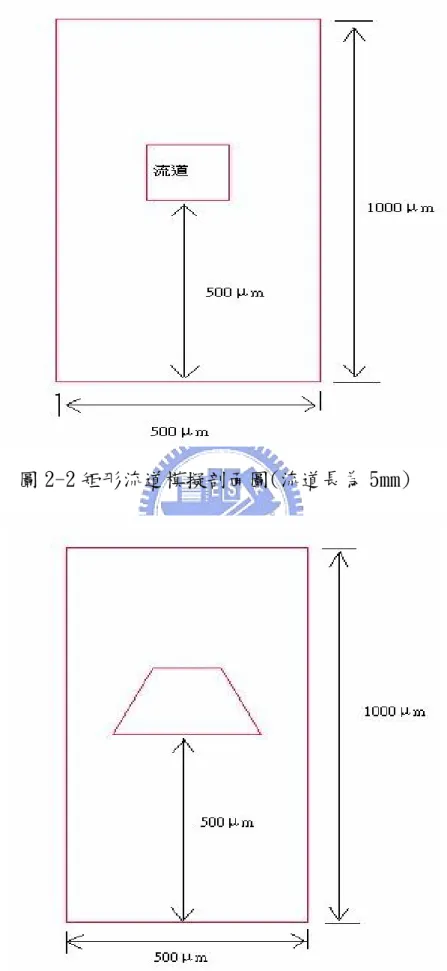 圖 2-2 矩形流道模擬剖面圖(流道長為 5mm) 