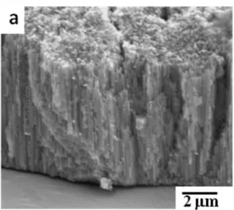 Figure 11 4-1      FESEM images of TiO 2  nanotubes arrays prepared by anodic oxidation in  NH 4 F solution