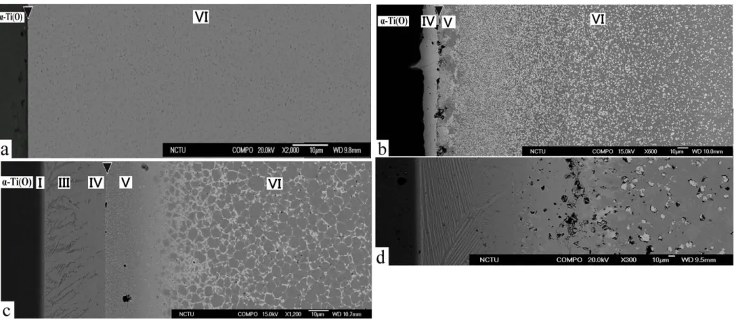 Fig. 1  SEM micrographs (backscattered electron images) showing the interface of Ti and ZrO 2  after annealing for 6 h at (a) 1100 o ; (b)  1300 o ; (c) 1400 o ; and (d) 1550 o C