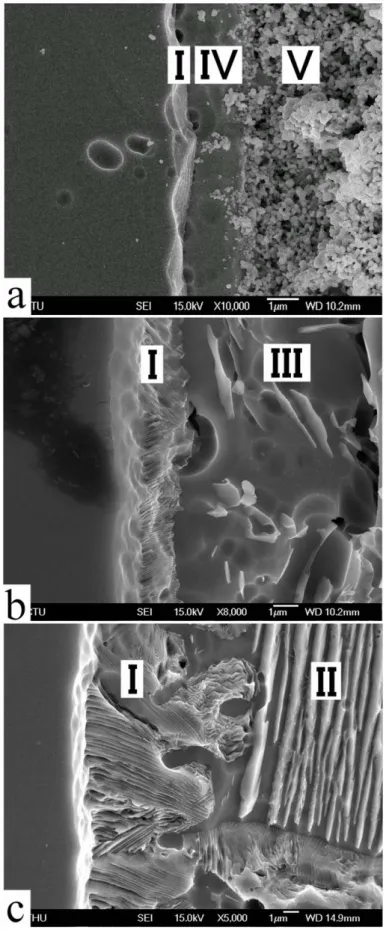 Fig. 2  SEM micrographs (secondary electron images)  showing the variation of the reaction layer “I” after  annealing at (a) 1300 o ; (b) 1400 o ; and (c) 1550 o C,  respectively
