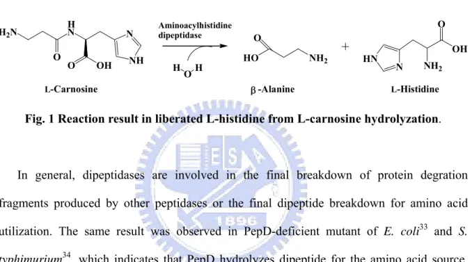 Fig. 1 Reaction result in liberated L-histidine from L-carnosine hydrolyzation. 