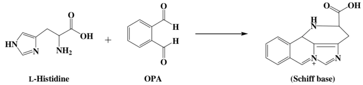 Fig. 6: Formation of a Schiff base by L-histidine and o-phthalaldehyde 