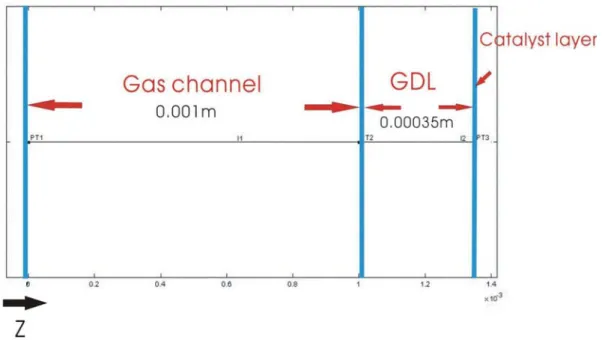 Fig. 4-1 The schematic configuration of the 1-D model 