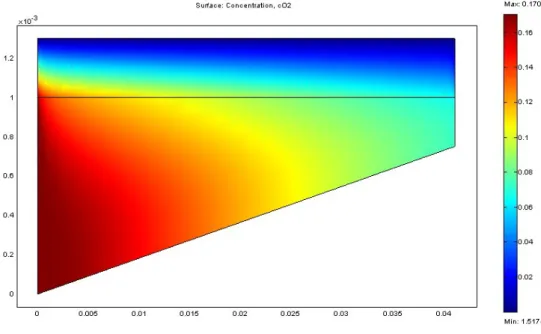 Fig. 4-7d The oxygen distribution along the channel with 25%  tapering ratio  0 0.005 0.01 0.015 0.02 0.025 0.03 0.035 0.04 0.045 X0.040.060.080.10.120.140.160.18