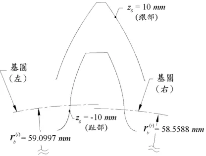 圖 1.9  兩側壓力角不等( α n ( l ) = 20 o ; α n ( r ) = 30 o )之螺旋漸開線圓錐齒輪橫斷面示意圖   