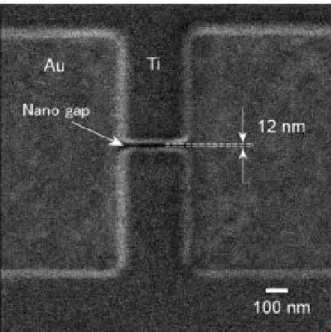 圖 2-2.  聚焦離子束製作寬度為 12 nm 奈米級裂隙電極 SEM 影像 