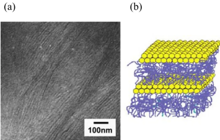 Figure 1-10. Coughlin model for structure of POSS-copolymer. (a) the TEM image of  a POSS-polybutadiene copolymer (43 wt% POSS) shows raft-like structure