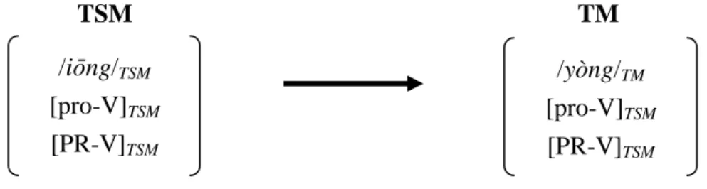 Fig. 3    Image schema of Relexification of pro-V and PR-V YONG from TSM to TM 
