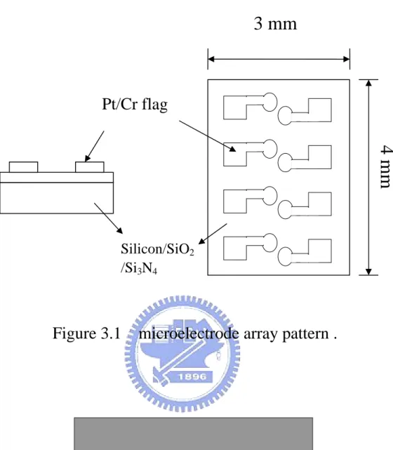 Figure 3.1  microelectrode array pattern .