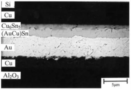 Fig. 4.1：The morphology of intermetallic compounds formed after diffusion soldering  between Cu/Ti/Si and Au/Cu/Al 2 O 3  at 300°C for 20 min with Sn interlayers
