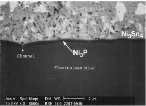 圖 2-9.  無電鍍鎳磷阻障層 220°C 迴流處理 30 秒後的橫截面結構[24]。 