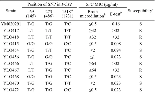 Table 6. Summary of 5FC susceptibility testing   