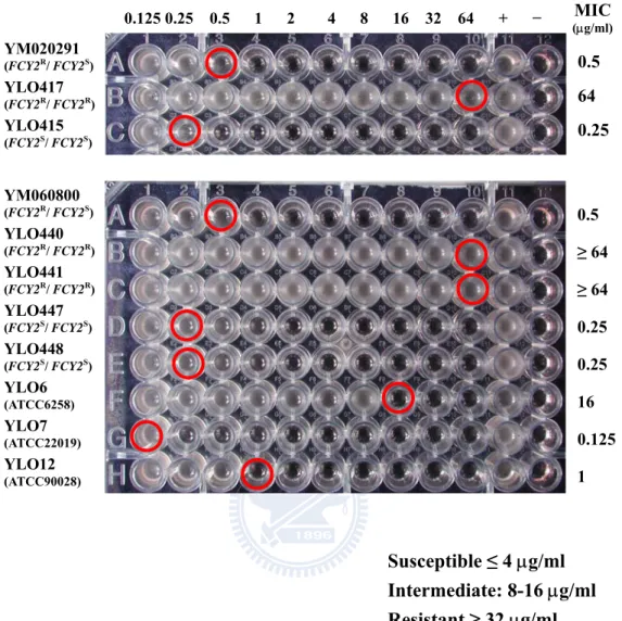 Figure 1. 5FC susceptibility testing of two clinical isolates and their  homozygous mutants by both microdilution