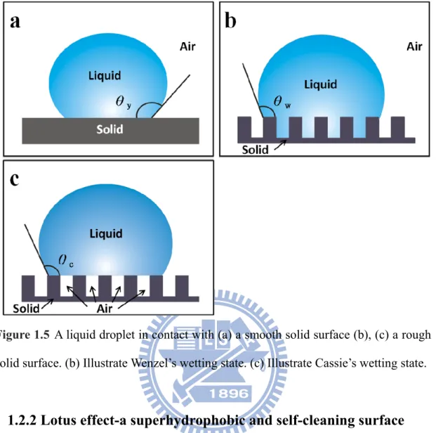 Figure 1.5 A liquid droplet in contact with (a) a smooth solid surface (b), (c) a rough  solid surface