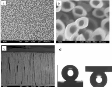 Figure 2.4 SEM images of PS nanotubes of (a) top view, (b) magnified image of (a),  (c) side view and (d) the contact angle behavior