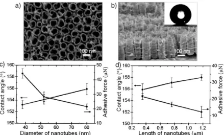 Figure 2.5 (a), (b) Top-view and side-view SEM images of superhydrophobic TiO 2
