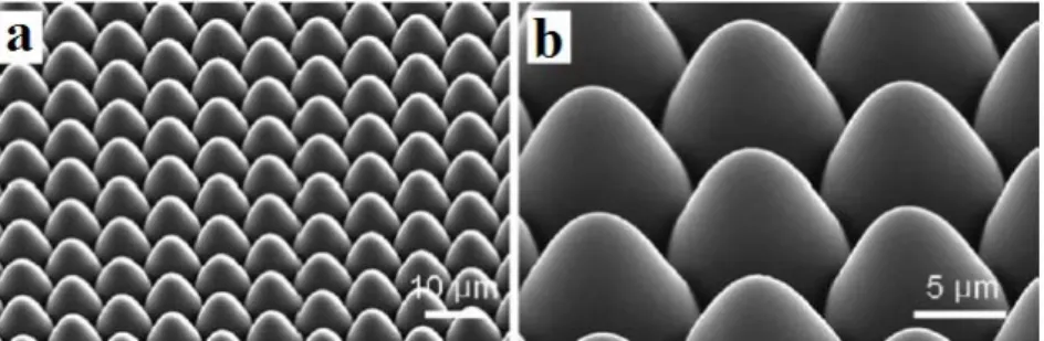 Figure 2.6 (a), (b) The microlens-arrayed surface morphology was apparent at high  magnification