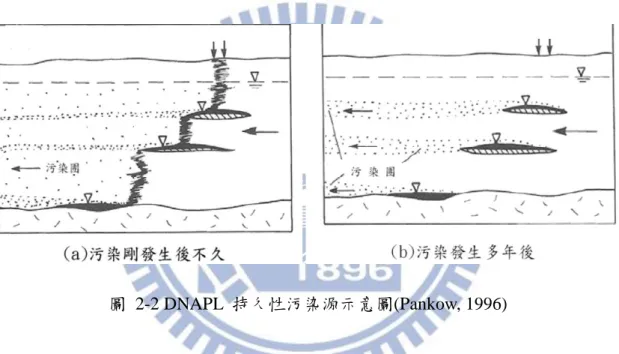 圖  2-2 DNAPL  持久性污染源示意圖(Pankow, 1996) 