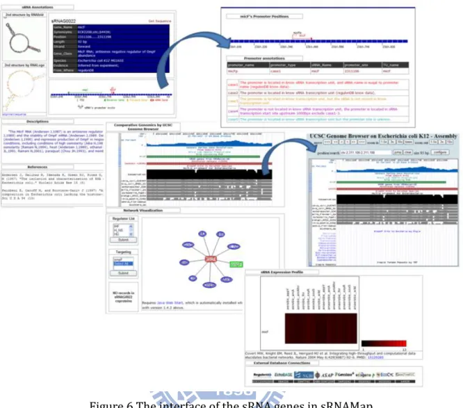 Figure 6 The interface of the sRNA genes in sRNAMap. 