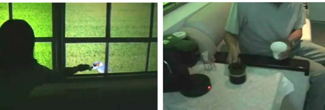 Fig 3-3: The presence of the bluebird on the Ambient Window projection makes the user feel like to  touching it (left)