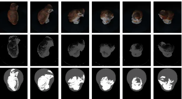 Fig. 10 The top row shows a portion of the input image sequence taken from an  equi-tilt set of the pottery owl OM