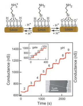 Figure 3-4: Electric properties of surface modified silicon nanowire were changed  under the variation of pH value [3.6] 