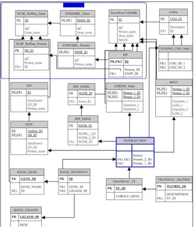 Figure 2. Database schema of the molecular interaction data warehouse. 