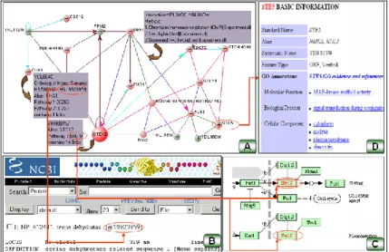 Figure 3. An example of user interface from VisANT (18). 