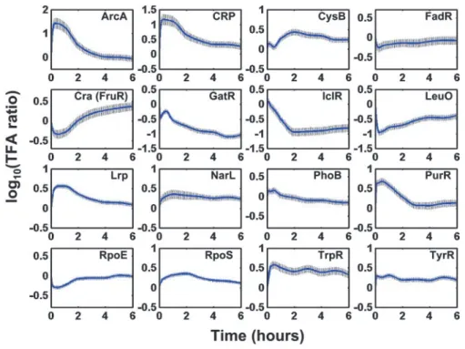 Fig. 4. The dynamics of the TFA for 16 transcriptional regulators during glucose to acetate transition in E