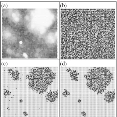 Figure 1.3.2.1. Visualization of the trained SOM. (a) the grey shade of the trained SOM,  where darker areas mean larger distances, (b) the minimum spanning tree for the map units, (c)  the disconnected subtrees after removing the links below some threshol