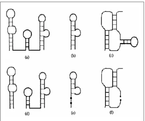 Figure 1.3.4.1. Positive and negative examples of structure motifs. (a)(b)(c) are legal  structure motifs