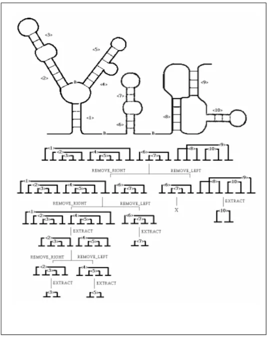 Figure 1.3.4.2. An example of structure decomposition. The given structure (stem <1> to 