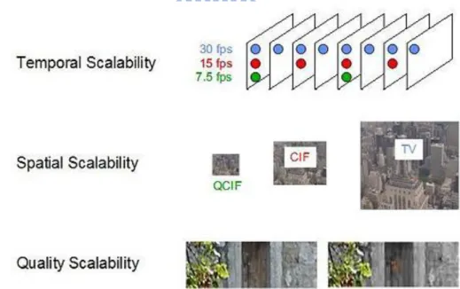 Fig. 2.6 Different types of SVC [15] 