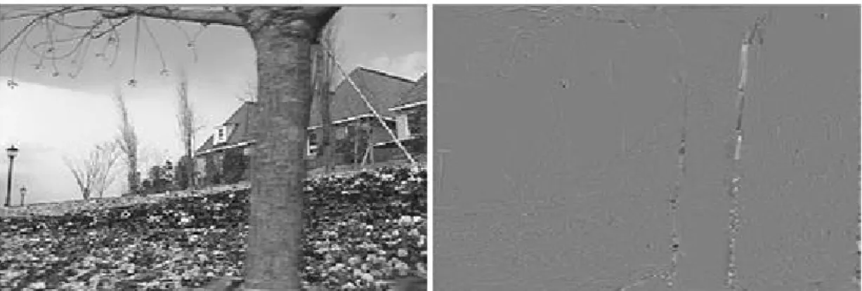 Figure 2.7: Temporal filtering with motion compensation. Left: low-pass frame. Right: high-pass frame 