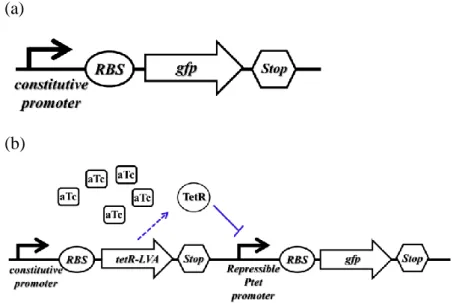 Figure 1: The different parts are assembled in a device.    